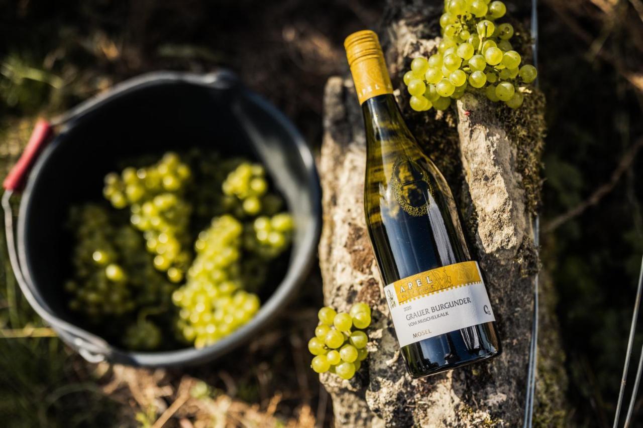 Weingut Und Gaestehaus Apel Nittel Zewnętrze zdjęcie