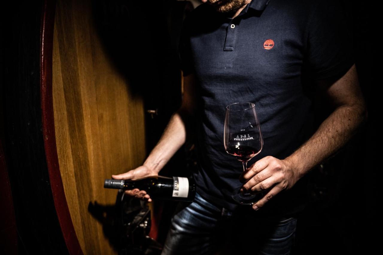 Weingut Und Gaestehaus Apel Nittel Zewnętrze zdjęcie