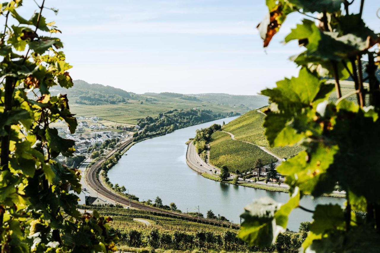 Weingut Und Gaestehaus Apel Nittel Zewnętrze zdjęcie