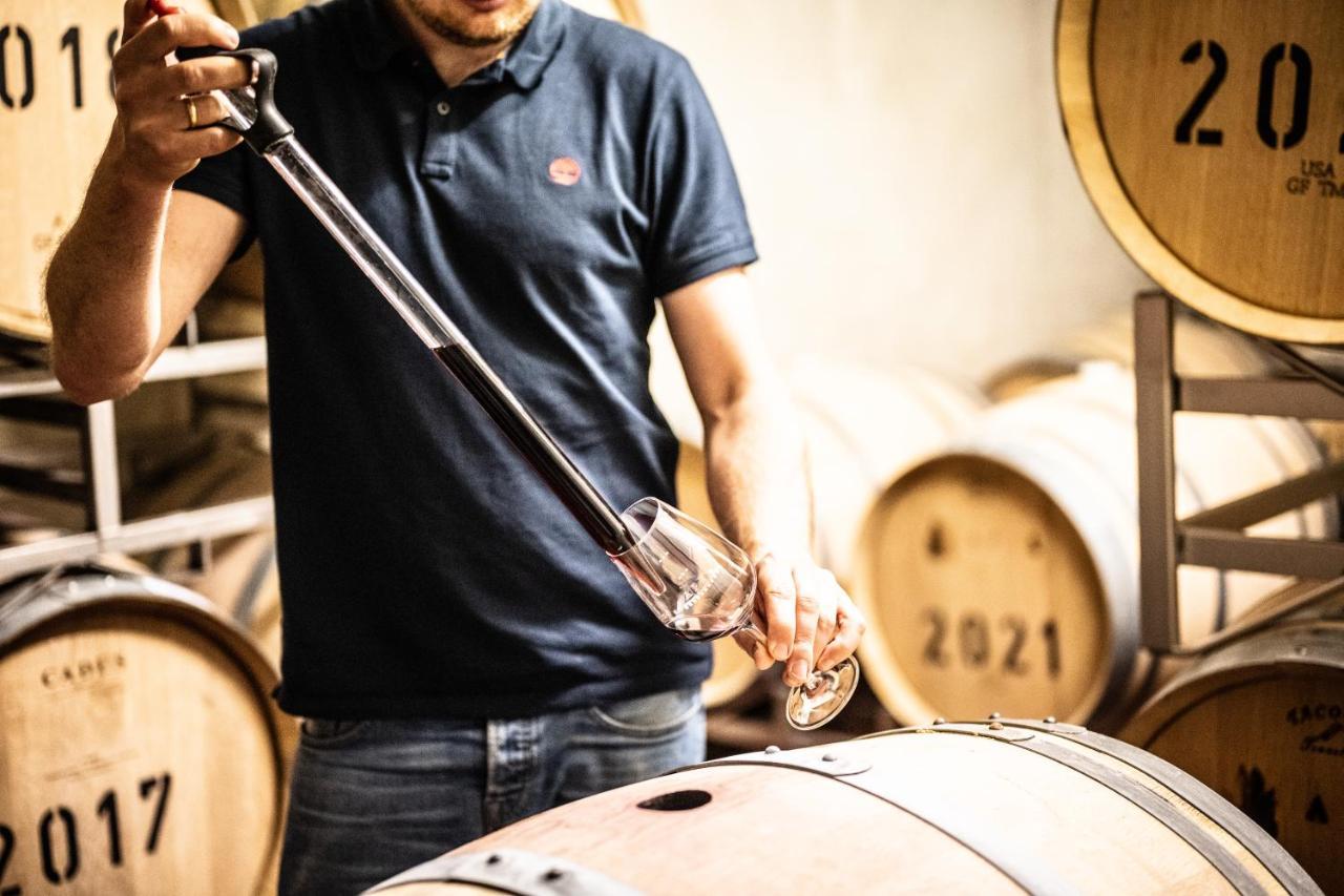 Weingut Und Gaestehaus Apel Nittel Zewnętrze zdjęcie
