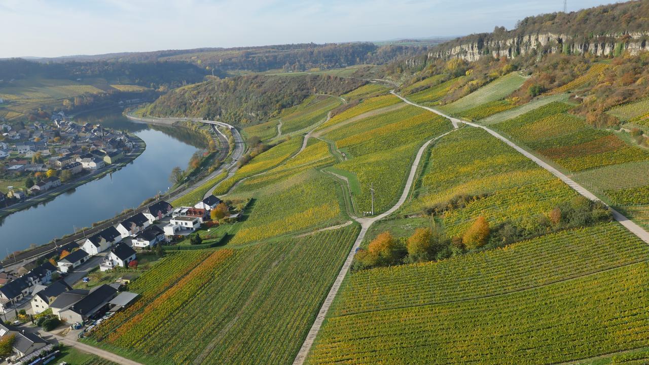 Weingut Und Gaestehaus Apel Nittel Zewnętrze zdjęcie